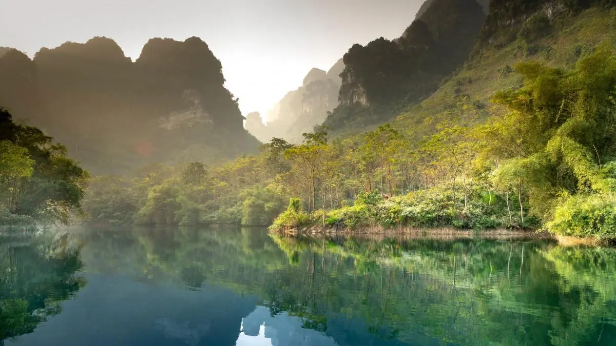 高质量高性能